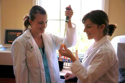 Two nutrition students work in a lab
